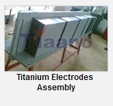 Titanium Electrodes Assembly