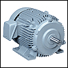 Meiden Induction Motor