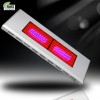 600W LED grow light