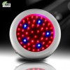 50W Mini UFO LED grow light