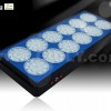 Apollo LED grow light