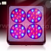 Apollo 4 LED grow light