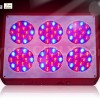 Apollo 6 LED grow light