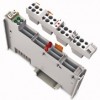 2-CHANNEL DIGITAL INPUT MODULE AC 120 V