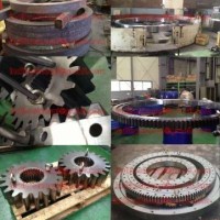 SLEWING GEAR & BEARING SLEWING GEAR