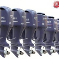 Outboard Motor Yamaha