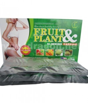 OBAT PELANGSING BADAN ( FRUIT PLANT USA ORIGINAL )