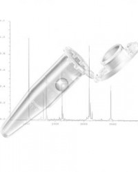 EPPENDORF Protein LoBind Tubes