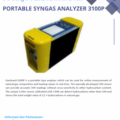 Portable Syngas Analyzer