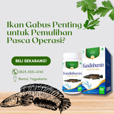 pentingnya Ikan Gabus untuk Pemulihan Pasca Operasi